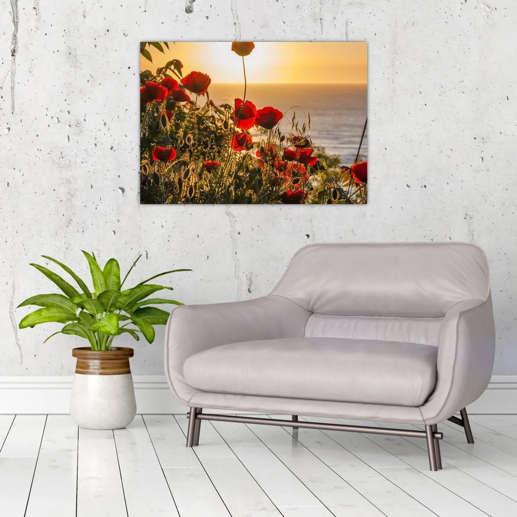 Tablou pe sticlă cu apus de soare cu flori de maci (70x50 cm)