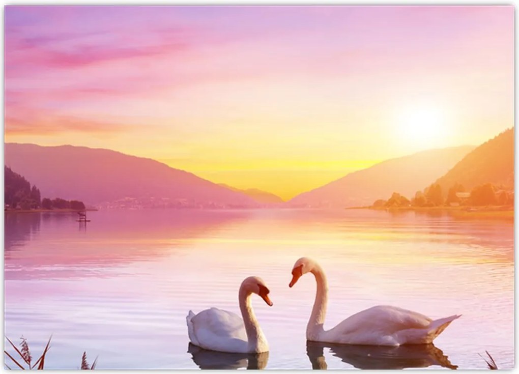 Tablou - Lebăde îndrăgostite (70x50 cm)