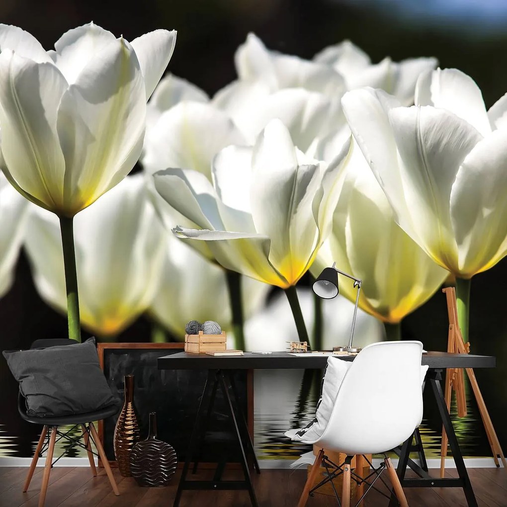 Fototapet - Flori pe apă (152,5x104 cm)