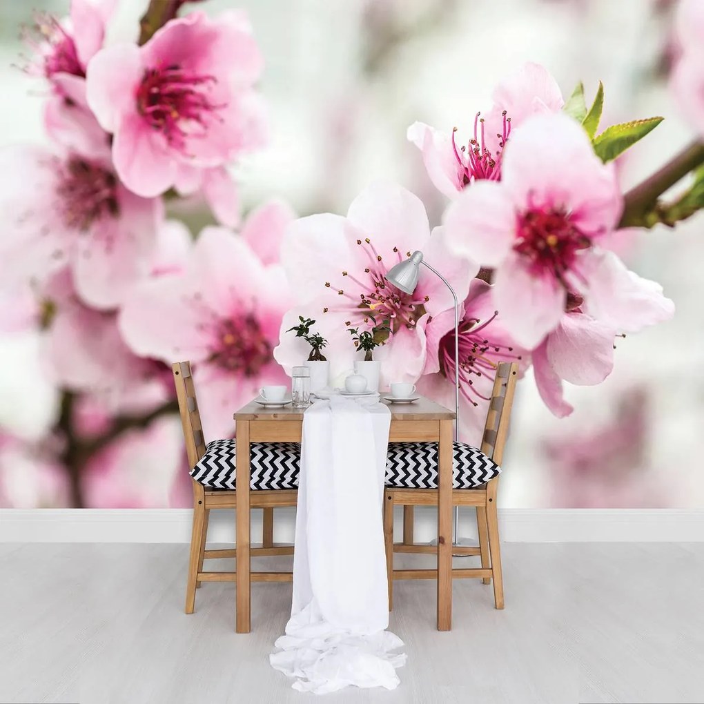 Fototapet - Flori (152,5x104 cm)