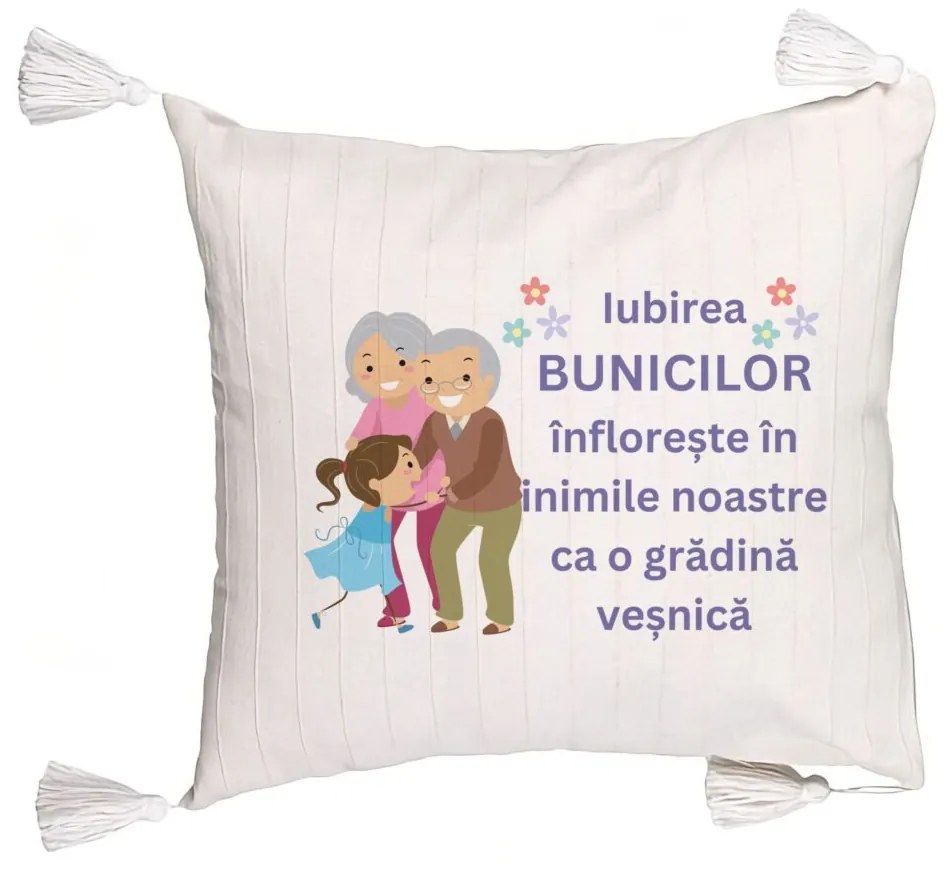 Perna Decorativa cu Franjuri pentru Bunici 2, 45x45 cm, Cu fermoar