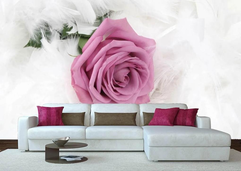 Fototapet. Trandafir Roz si Pene Pufoase. Art.01225