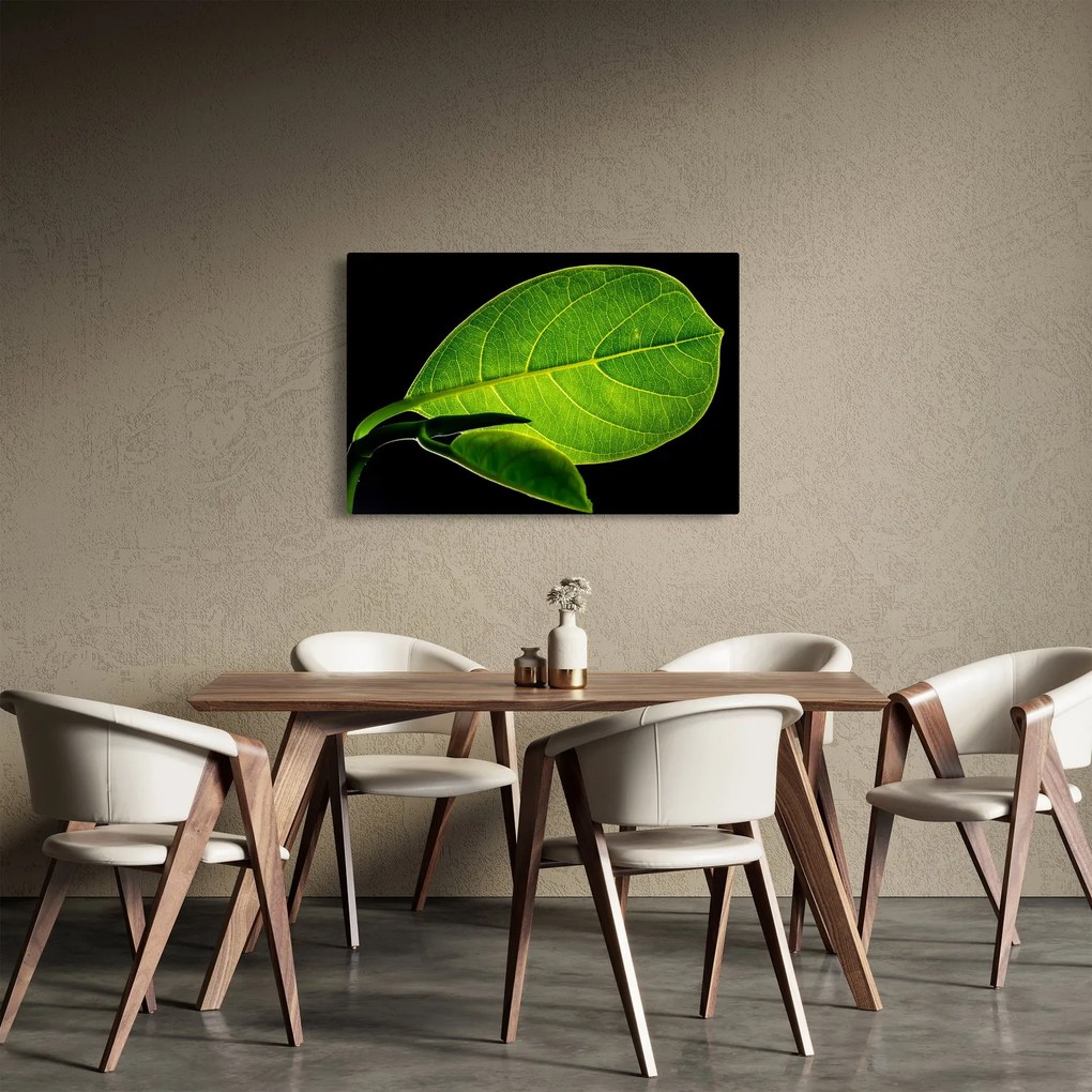 Tablou - frunză verde (90x60 cm)