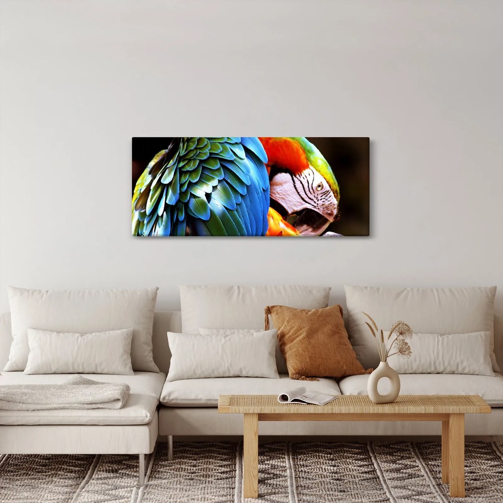 Tablou - Papagal (120x50 cm)