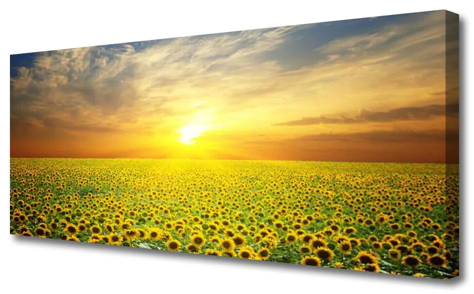 Tablou pe panza canvas Soare Meadow Floarea soarelui Natura Galben Maro Verde