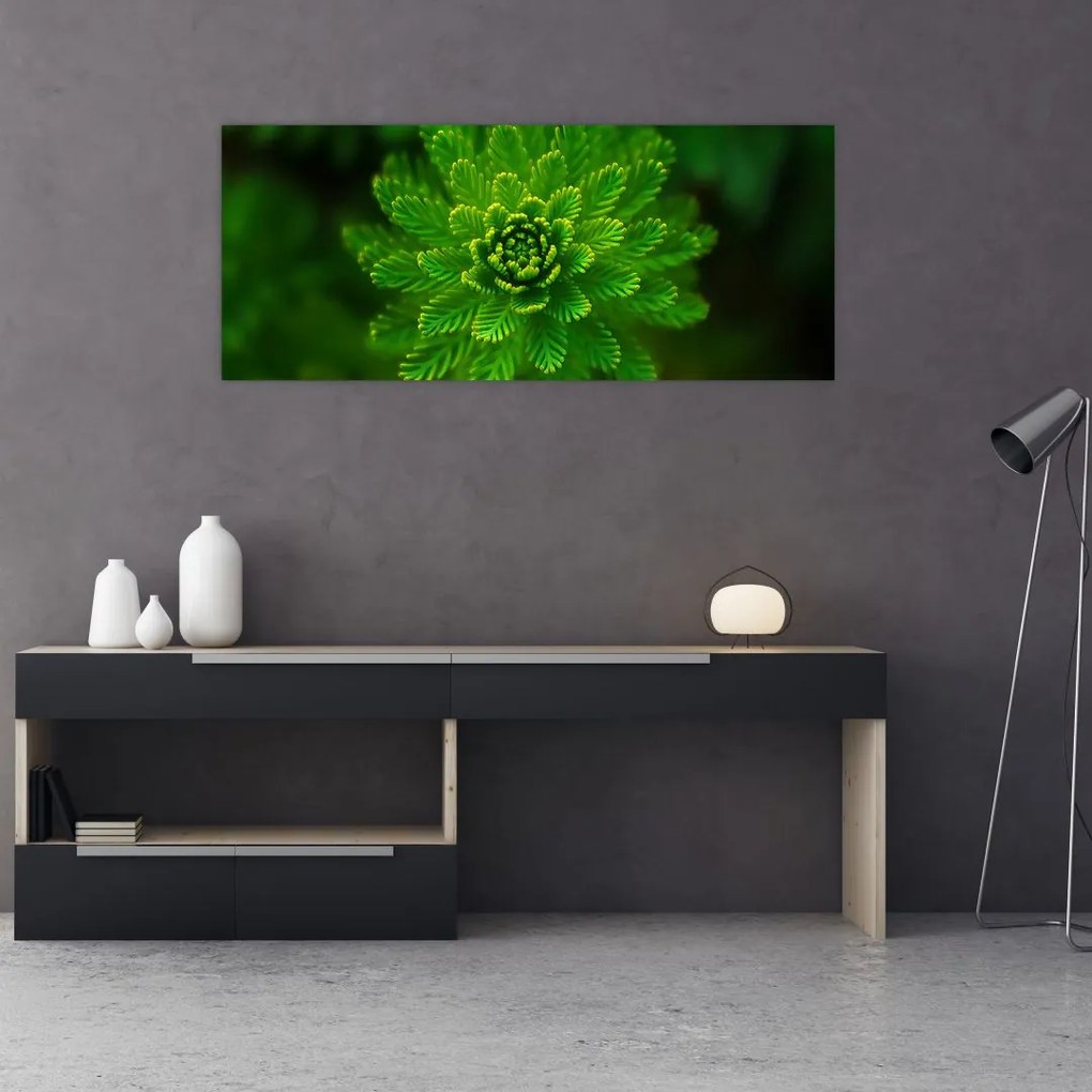 Tablou cu coniferi (120x50 cm)