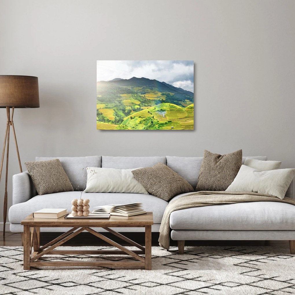 Tablou pe sticlă plantație (70x50 cm)