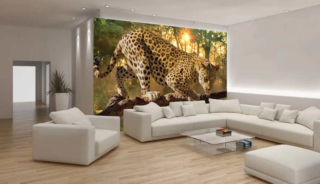 Fototapet - Jaguar Forest Woods (254x184 cm)