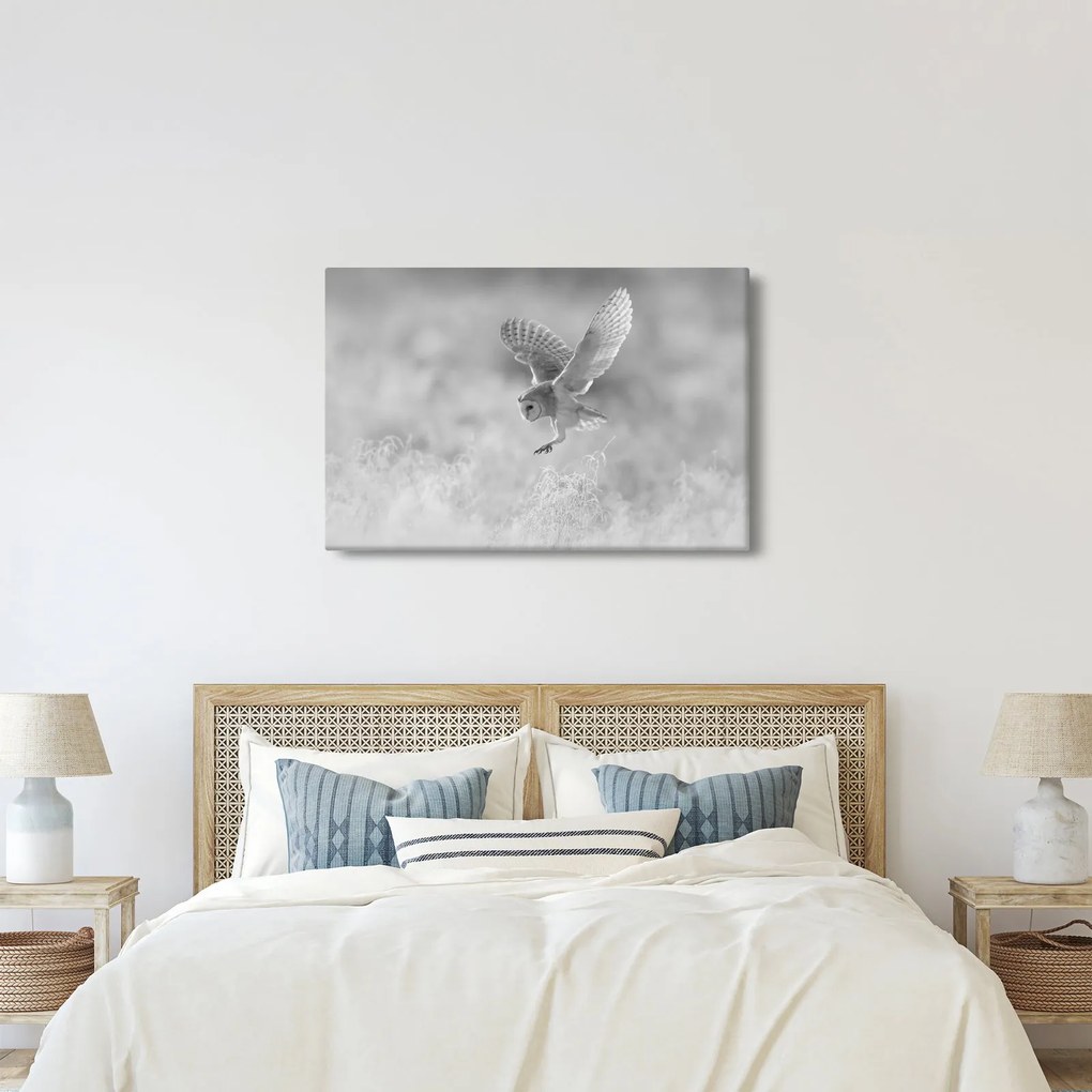 Tablou - Bufniță,alb-negru (90x60 cm)