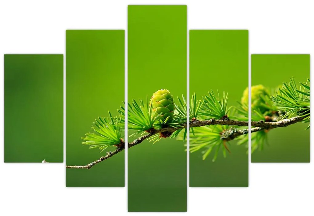 Tablou con verde (150x105 cm)