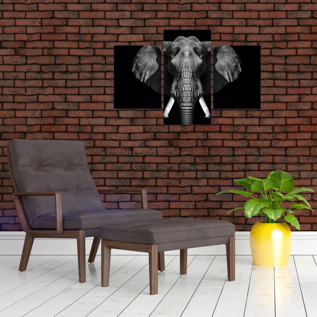 Tablou - Elefant pe fundal negru (90x60 cm)