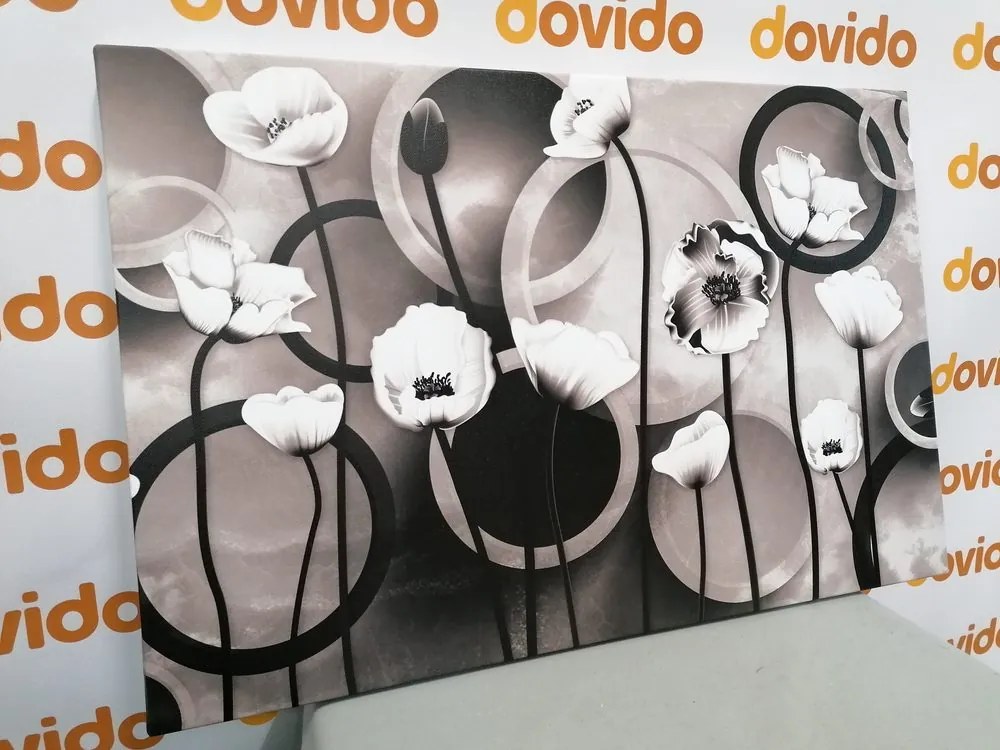 Tablou maci pe un fundal abstract în design alb-negru