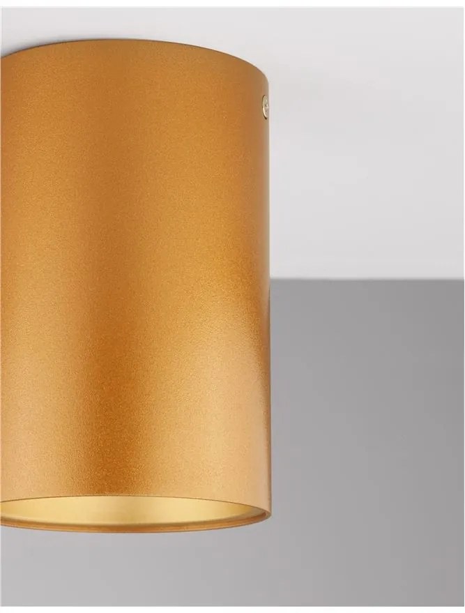 Spot aplicat tavan / plafon design modern minimalist NIDO auriu