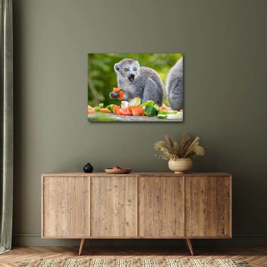 Tablou cu lemur (70x50 cm)