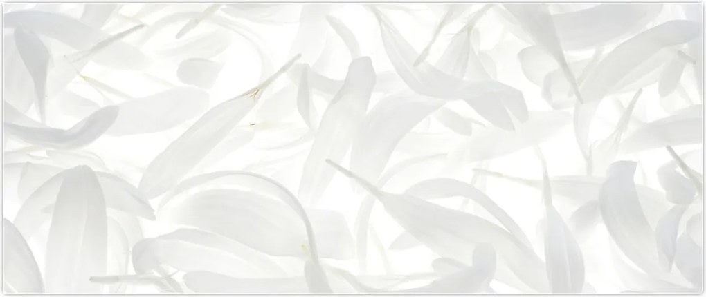 Tablou - Petale de frunze (120x50 cm)