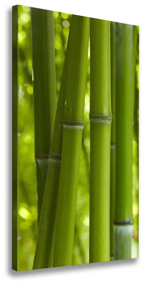 Tablou pe pânză Pădure de bambus