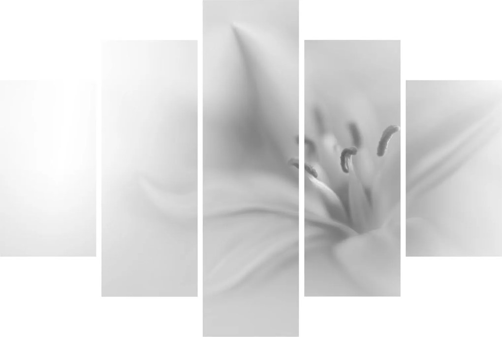 Tablou - Crin delicat (150x105 cm)
