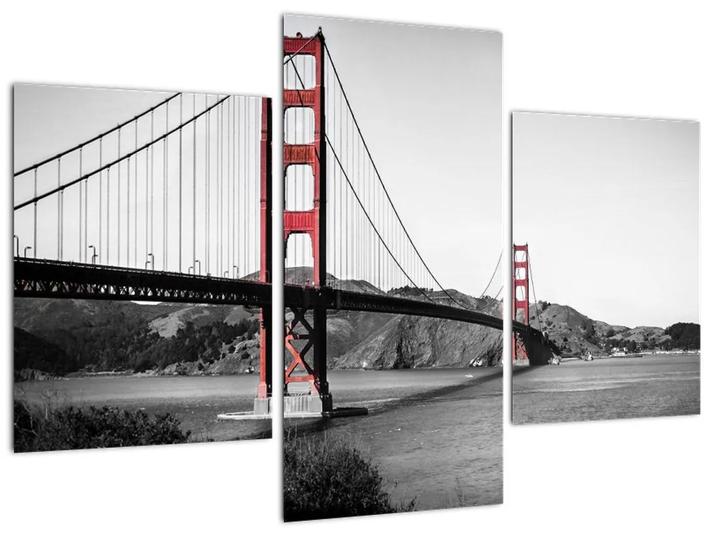 Tablou cu pod (90x60 cm)
