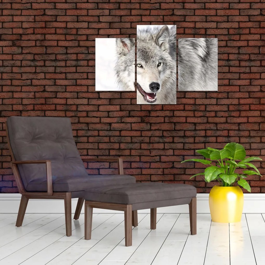 Tablou - Lupul în natură (90x60 cm)