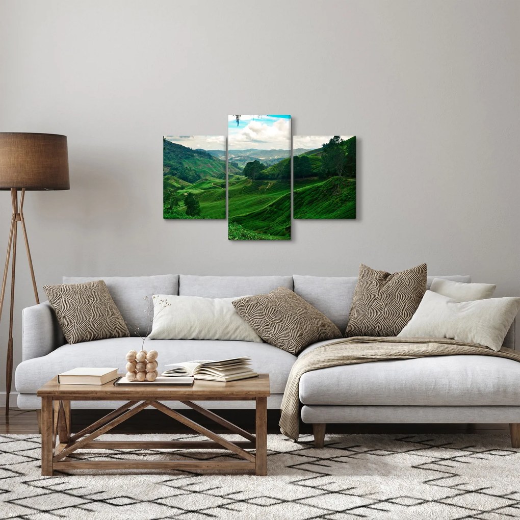 Tablou Plantații de ceai - Malaezia (90x60 cm)