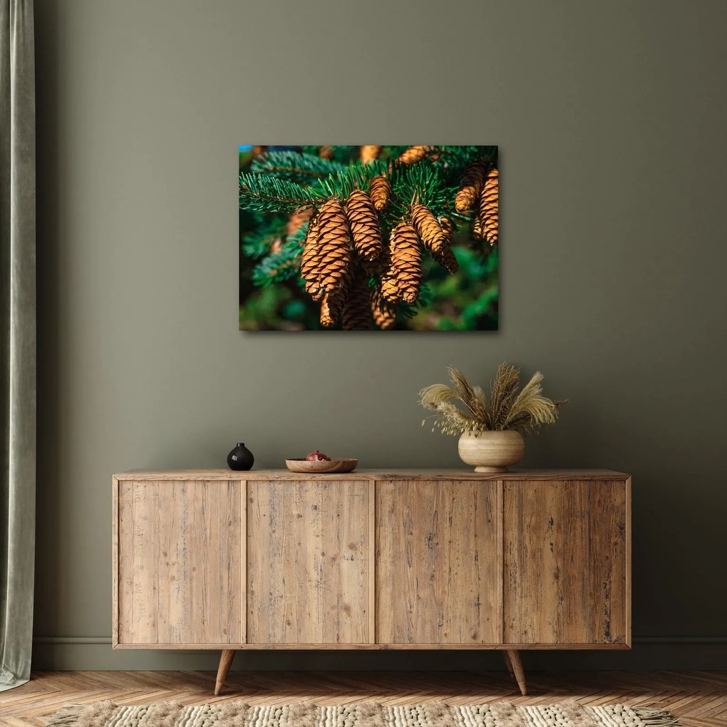Tablou cu con de brad (70x50 cm)