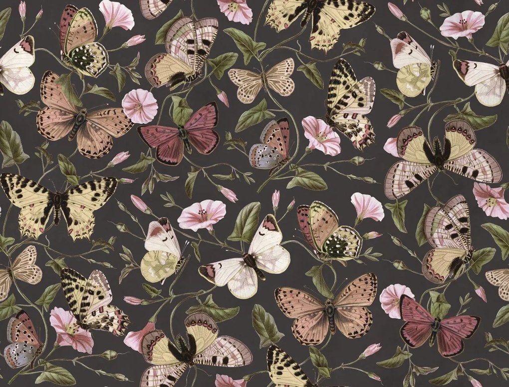 Fototapet, Butterflies, Midnight, Rebel Walls