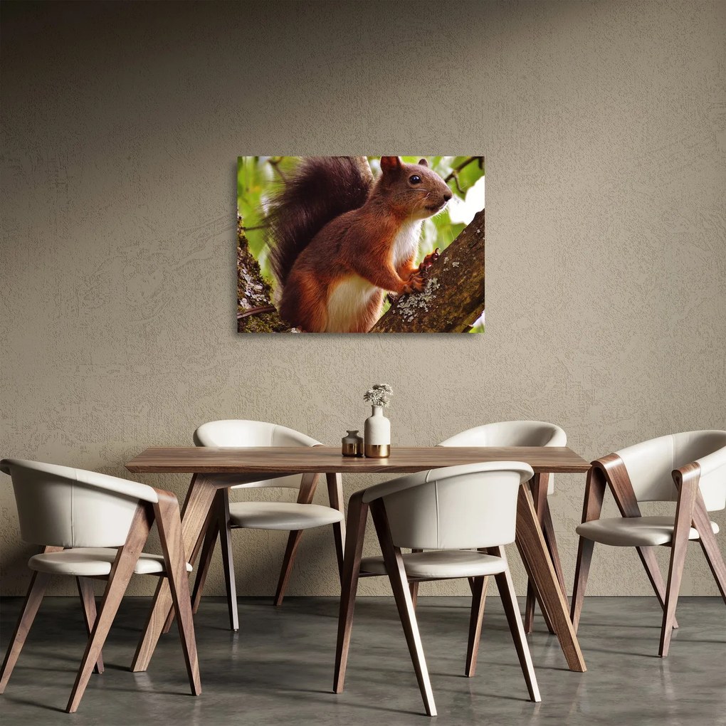Tablou pe sticlă cu veverița (70x50 cm)