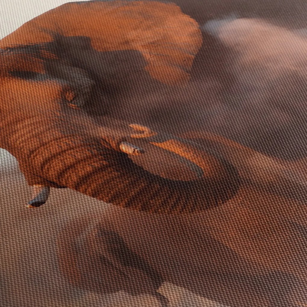 Tablou - Marele elefant african (150x105 cm)