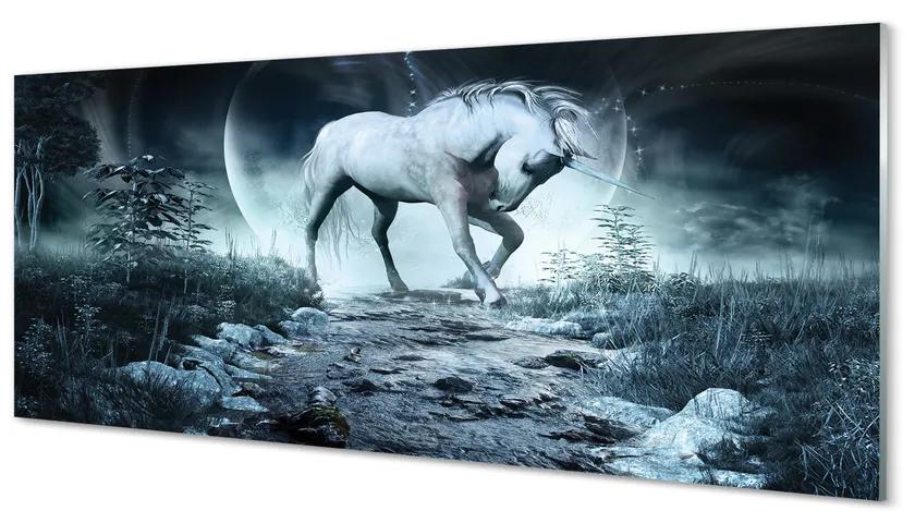 Tablouri pe sticlă Forest Unicorn Moon