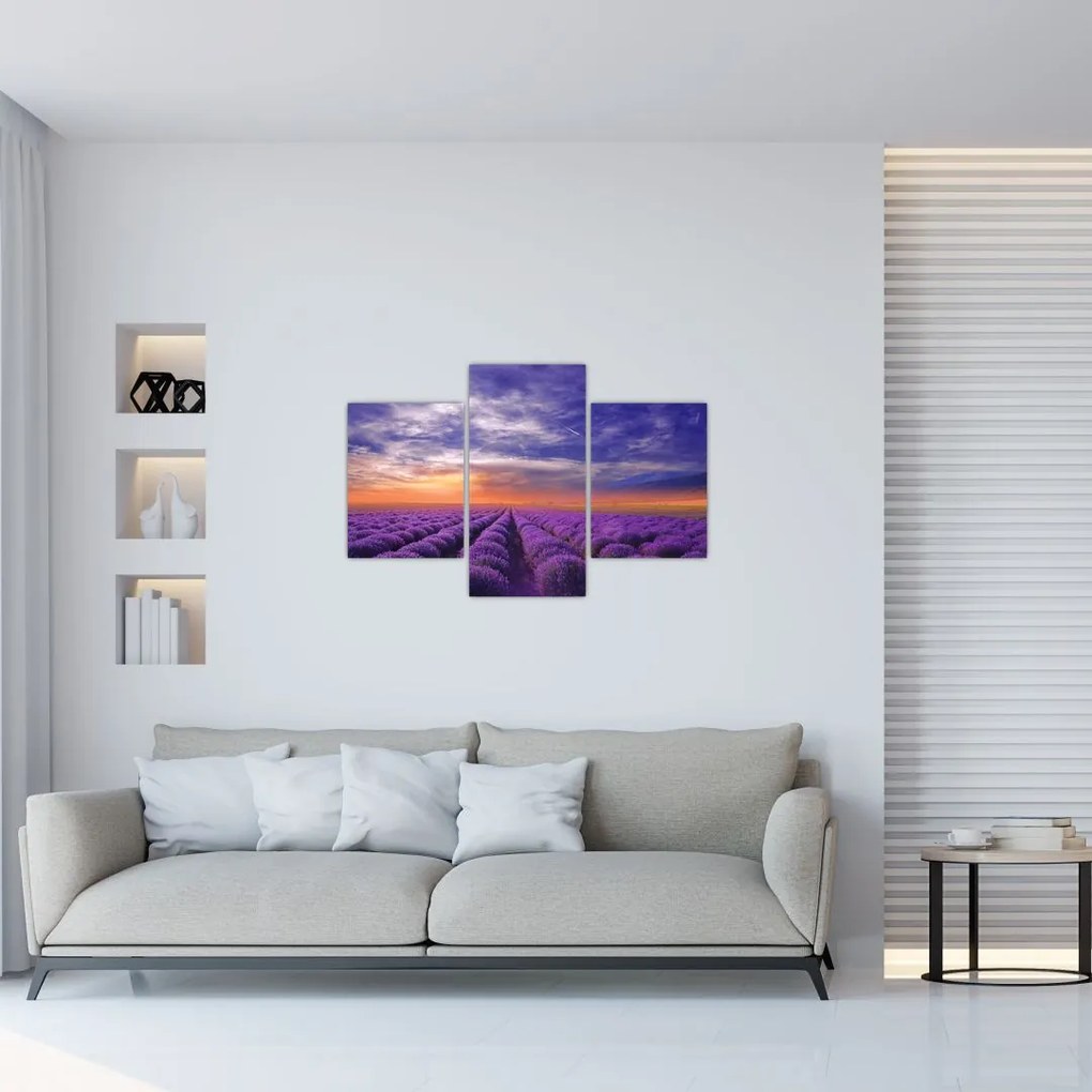 Tablou câmpului cu lavandă (90x60 cm)