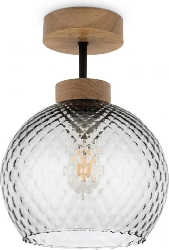 BRILAGI - LED plafonieră aplicată R GLASS 1xE27/60W/230V Ø 18 cm stejar/gri fumuriu