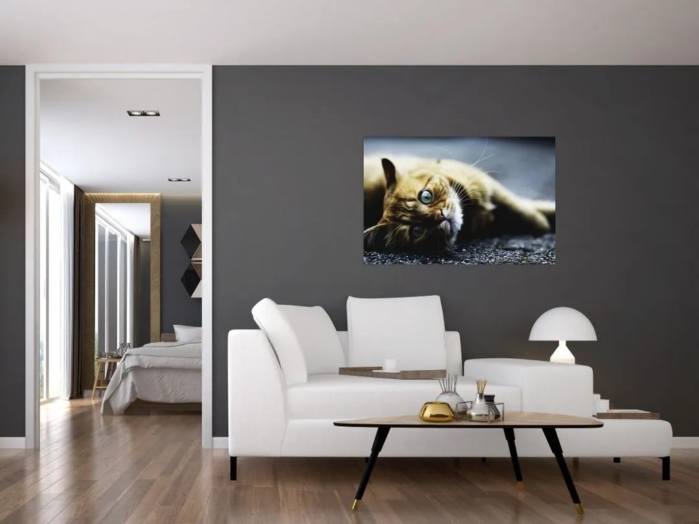 Tablou cu pisica (90x60 cm)