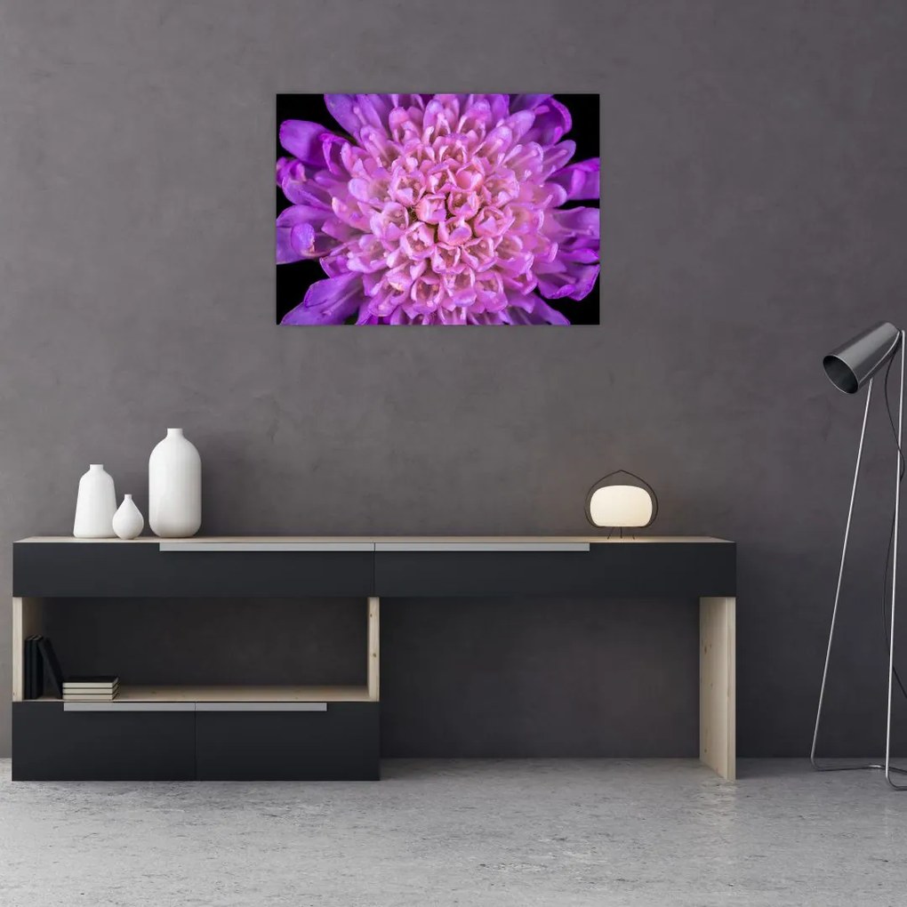 Tablou detailat cu floare (70x50 cm)