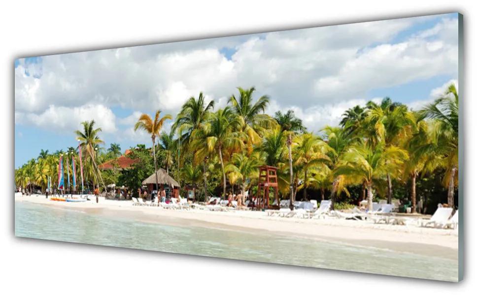 Tablouri acrilice Palm Beach Copaci Peisaj Brun Verde