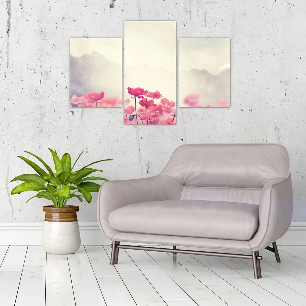 Tablou - Maci (90x60 cm)