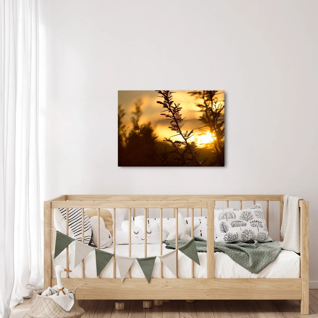 Tablou - Apus de soare (70x50 cm)
