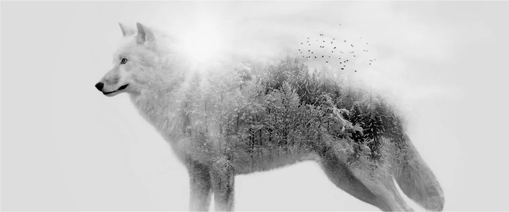 Tablou - Lupul arctic oglindit în peisajul sălbatic, alb-negru (120x50 cm)