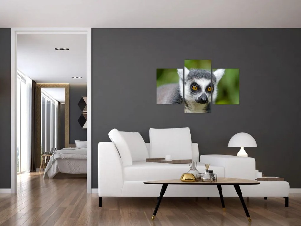 Tablou cu lemur (90x60 cm)