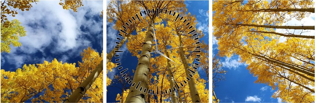 Tablou - Aspen (cu ceas) (90x30 cm)