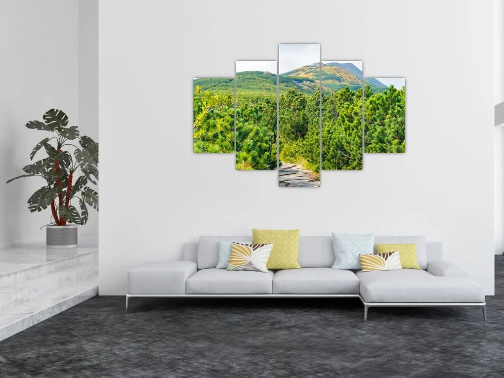 Tablou - Babi Hora, Polonia (150x105 cm)