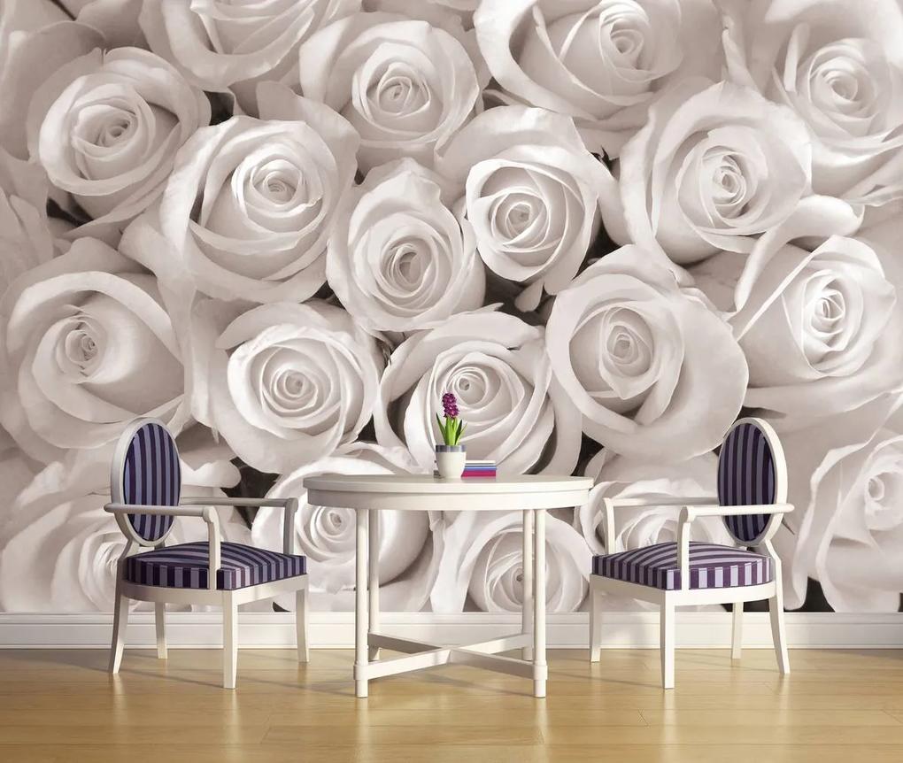 Fototapet - Trandafirii albi (152,5x104 cm), în 8 de alte dimensiuni noi