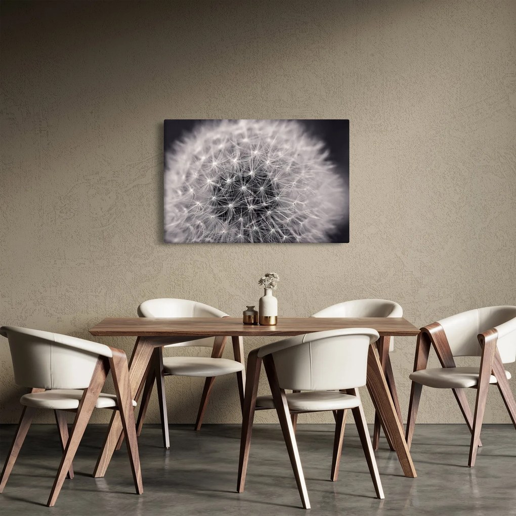 Tablou cu păpădie (90x60 cm)