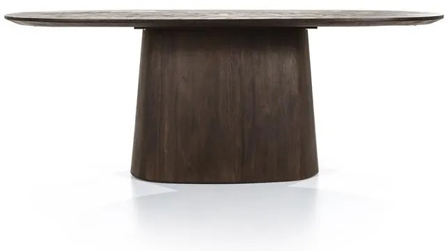 Masa ovala din lemn de mango Aron 200x110 cm maro