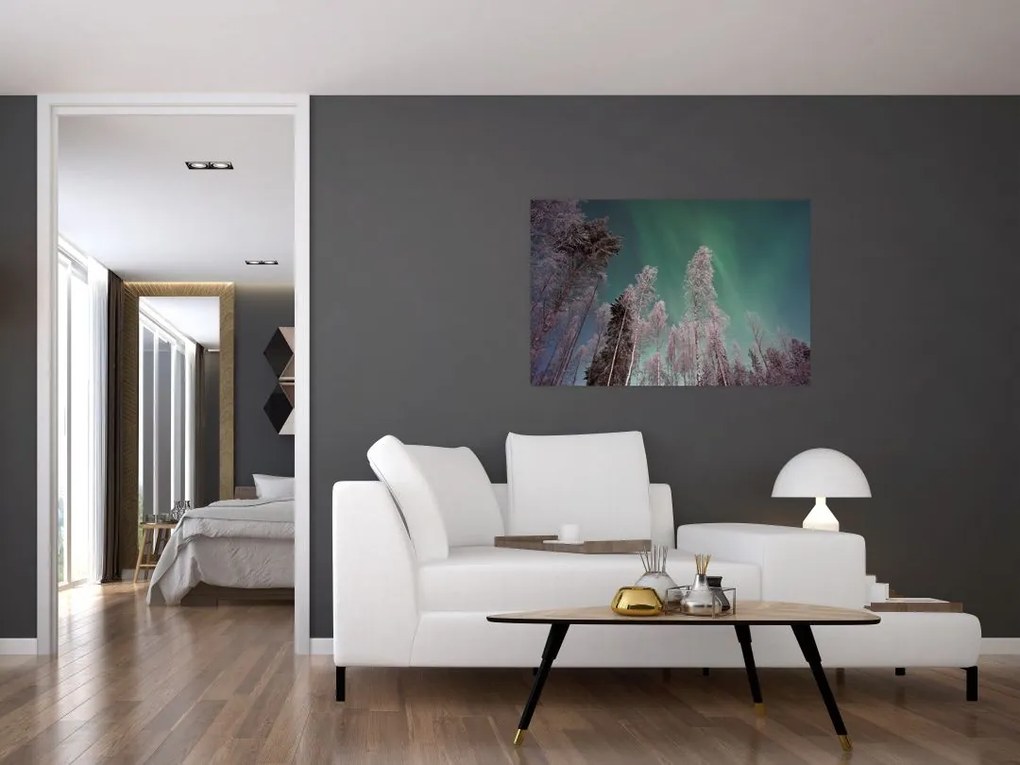 Tablou cu aurora borealis deasupra pomilor înghețați (90x60 cm)