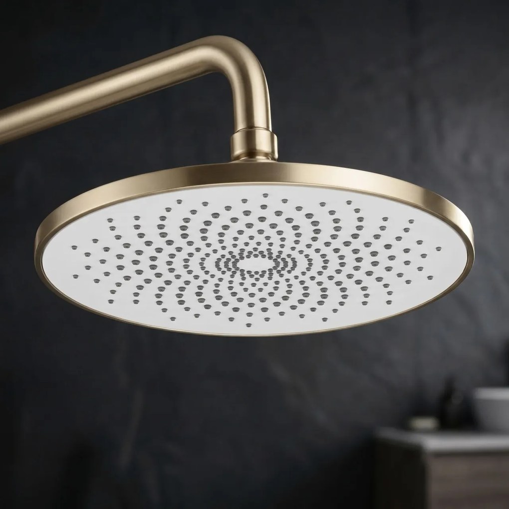 Set dus Rea Rivo Brush Gold