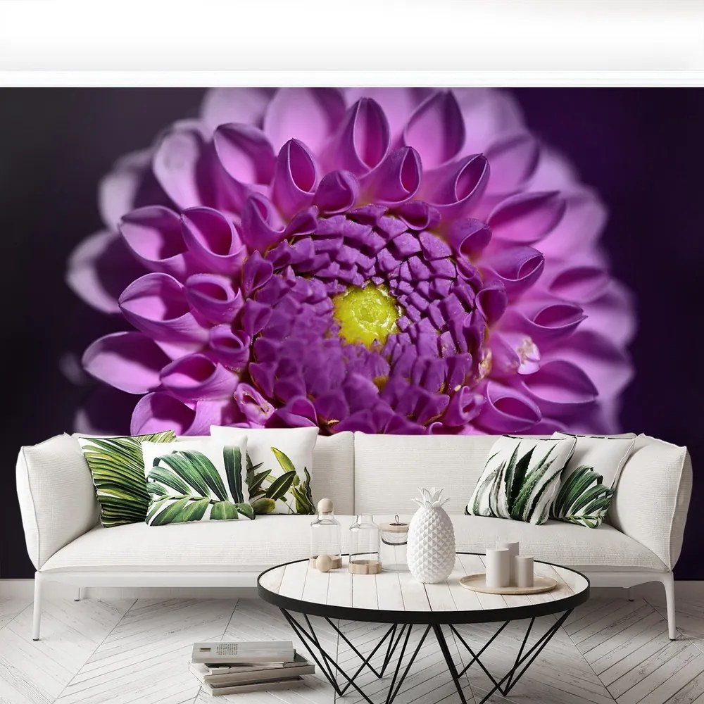 Fototapet Dahlia roz