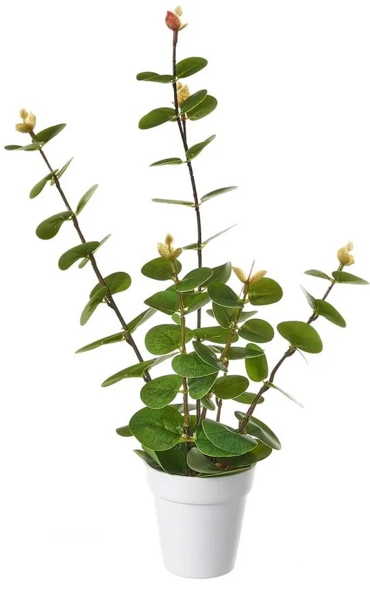 Plantă artificială – Casa Selección