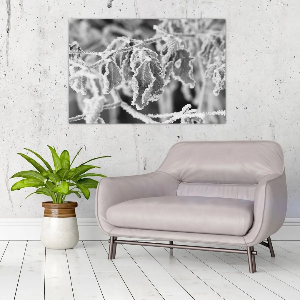 Tablou - Frunze înghețate,alb-negru (90x60 cm)