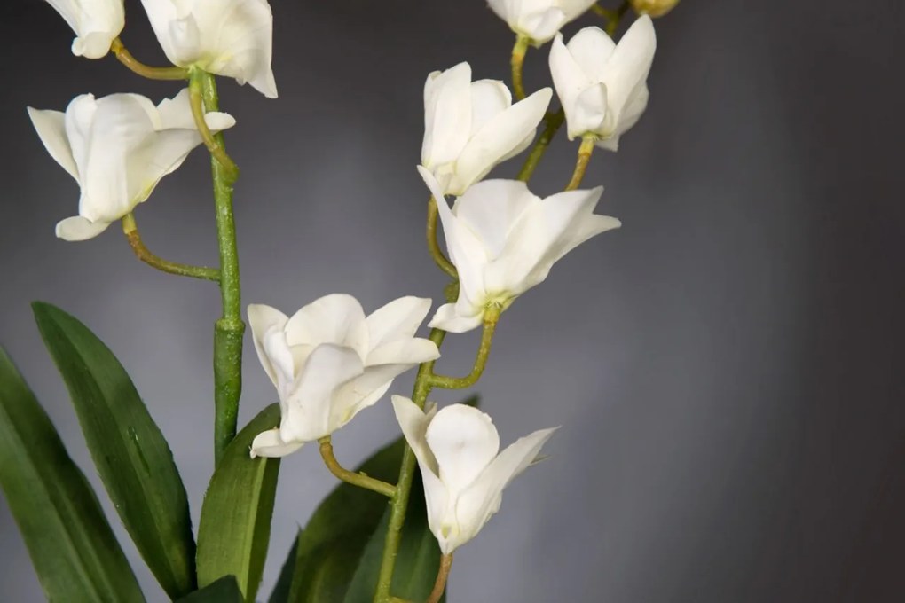 Aranjament floral elegant, design LUX ETERNITY ALFEO CYMBIDIUM