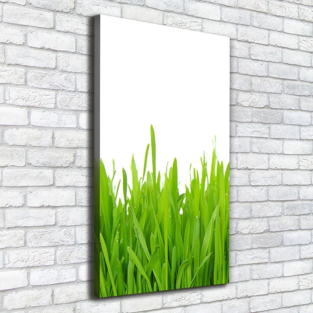 Imprimare tablou canvas Iarbă verde